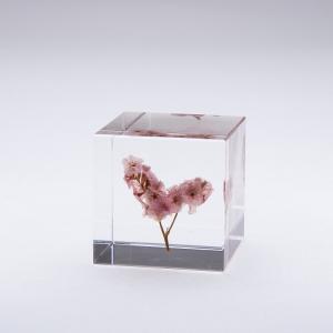 Acrylic Block Built in Flower Souvenir