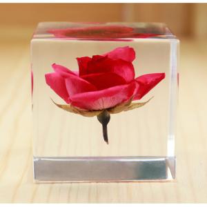 Acrylic Block Flower Gift Souvenir Craft
