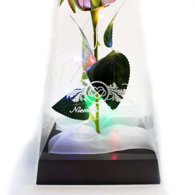 Acrylic Flower Display Box With Logo Jpg