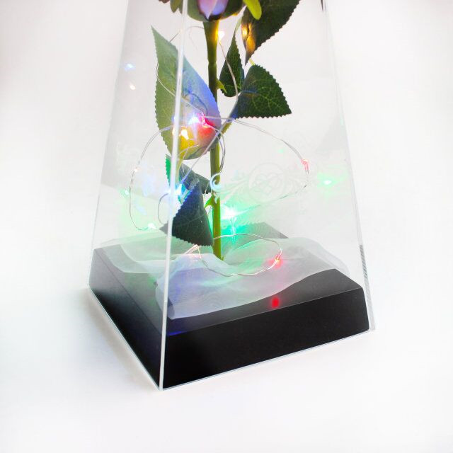Acrylic Rose Display Box Jpg